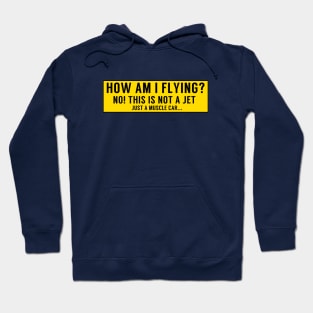 How Am I Flying? Hoodie